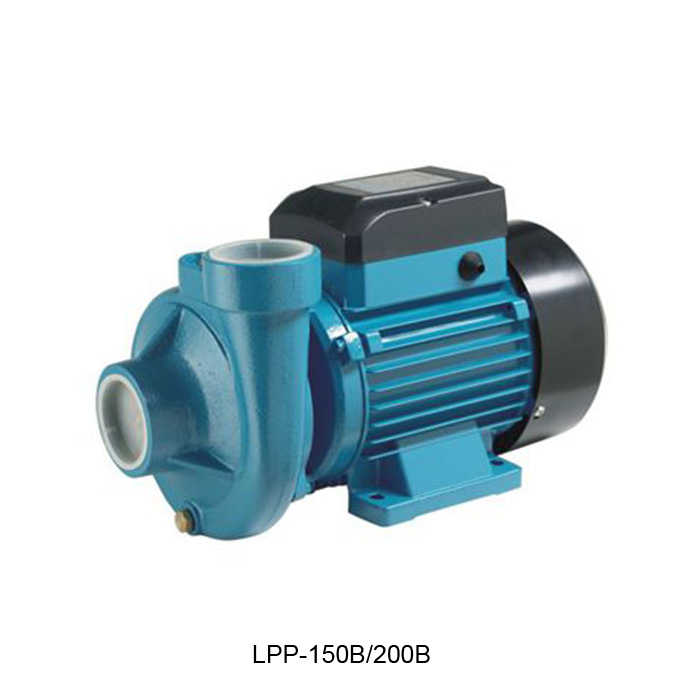 LPP