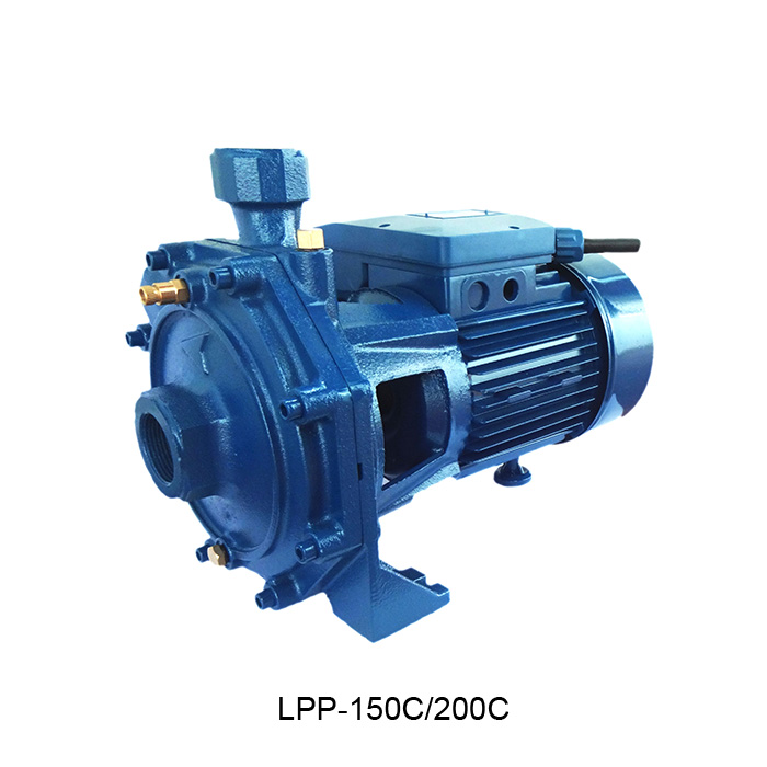 LPP